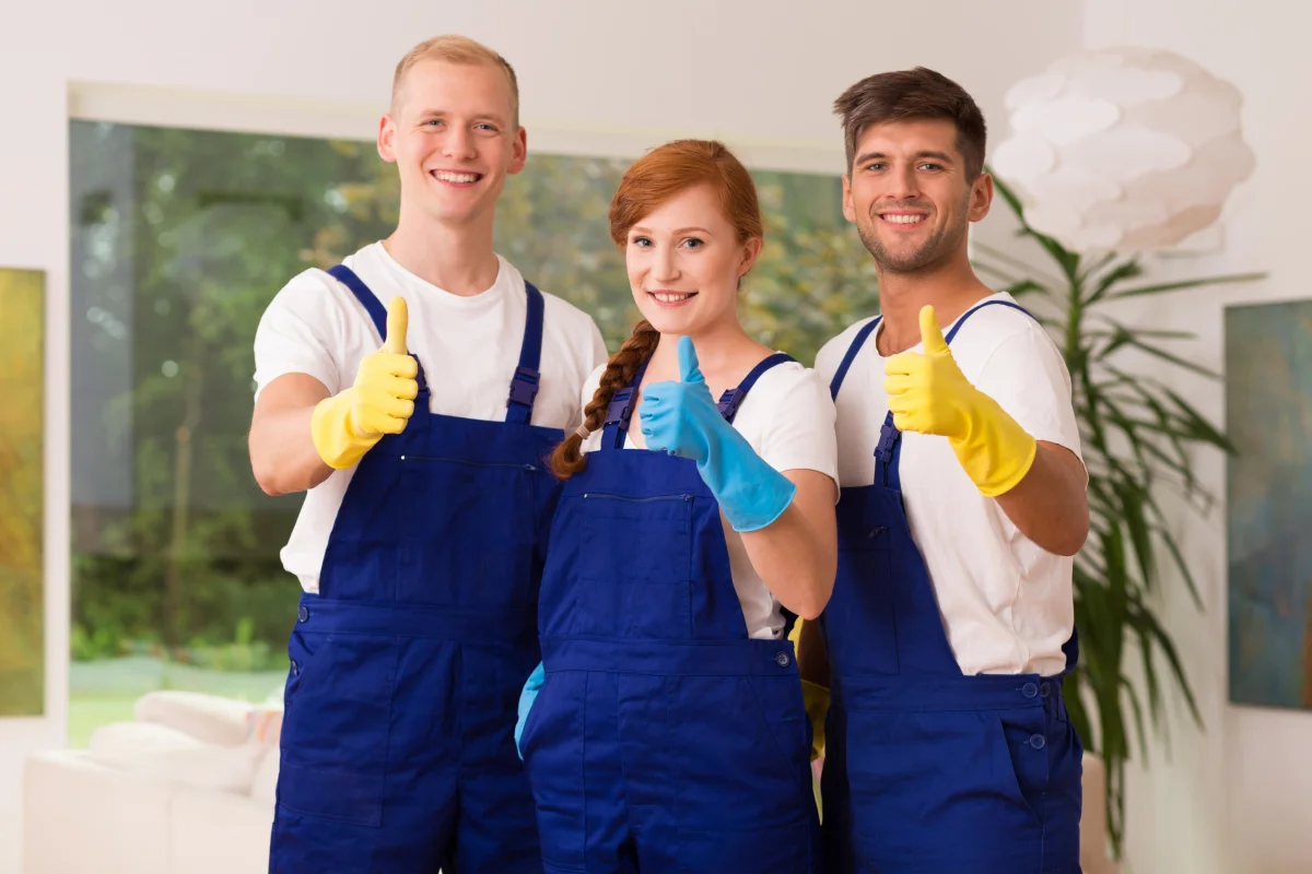 cleaner-1 cleaner-1