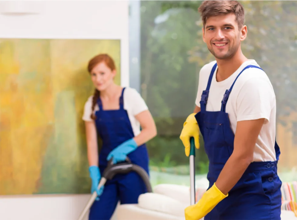 cleaner-3 cleaner-3